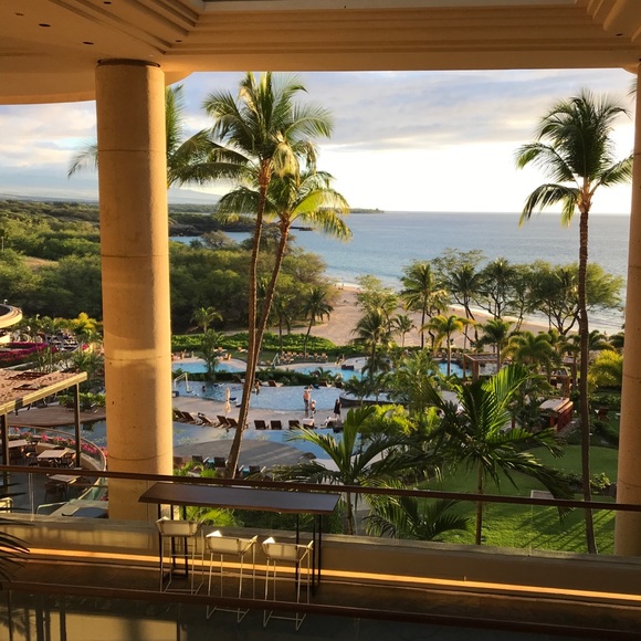 Meet your Posher, Tallulah - Picture 1 of 1